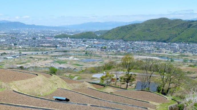 信州・・・山櫻咲く姨捨・・・JR東海・特急「信濃」が急勾配の篠ノ井線をのぼってゆく