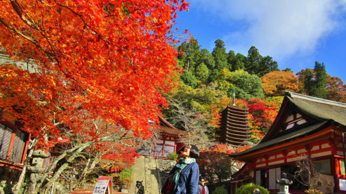 大化の改新発祥地『談山神社』の秋の紅葉