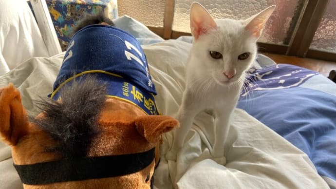 時を経て友人関係は変化するもの