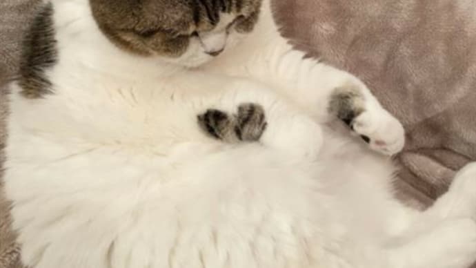 ただいま😃🏠✨