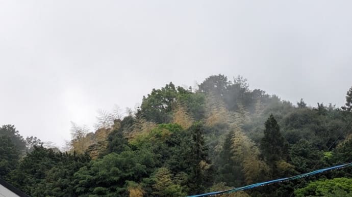 高龗神の言葉 一日雨となりました