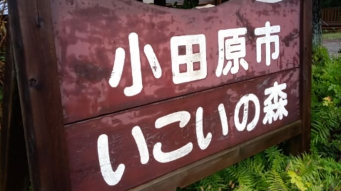 ドカ雨の中の校外学習