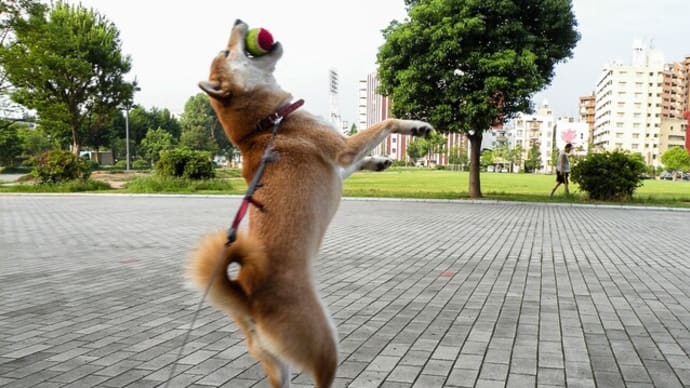 来楽ちゃん 生後1年6ヵ月29日