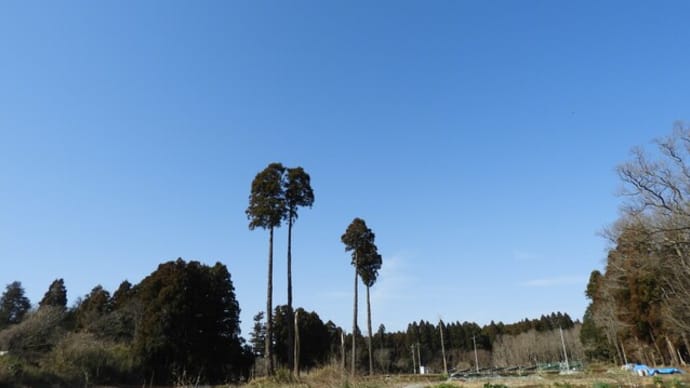 忘れてはいけない日・・・