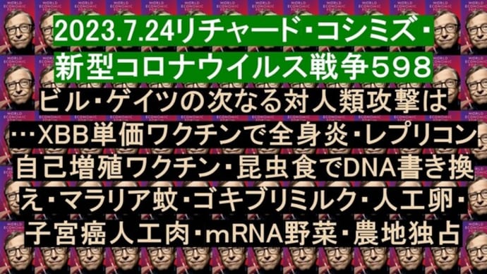 2023.7.24リチャード・コシミズ・新型コロナウイルス戦争598動画を公開します。