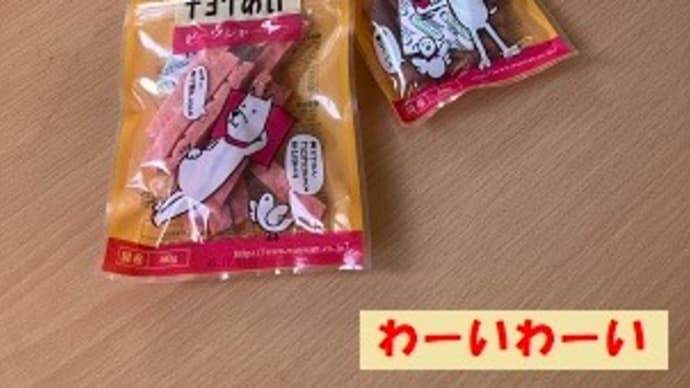春はまだか~