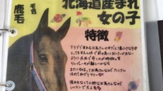 乗馬体験