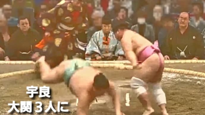 今場所の宇良くん、覚醒かもしれん。