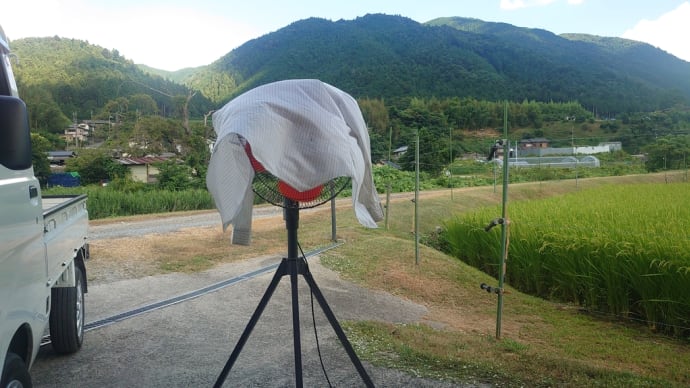 草刈り