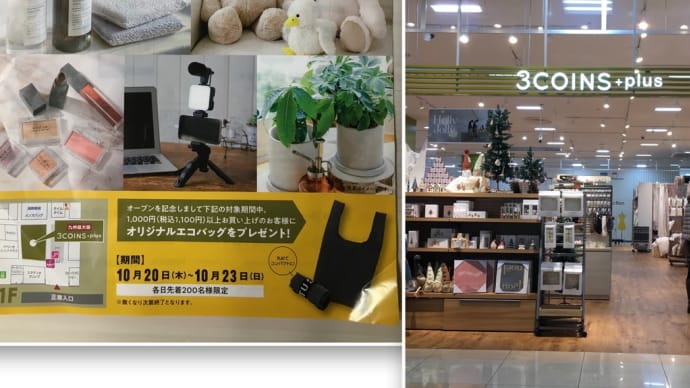 「3COINS+plus」で気になったモノ 👀 でも、買わなかったのよ。