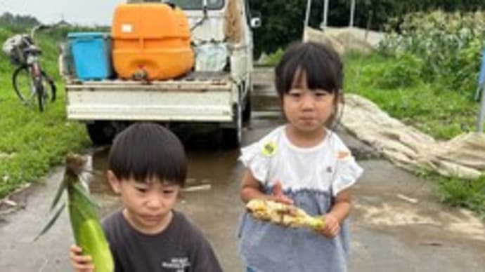 雨も止んで、収穫体験!!