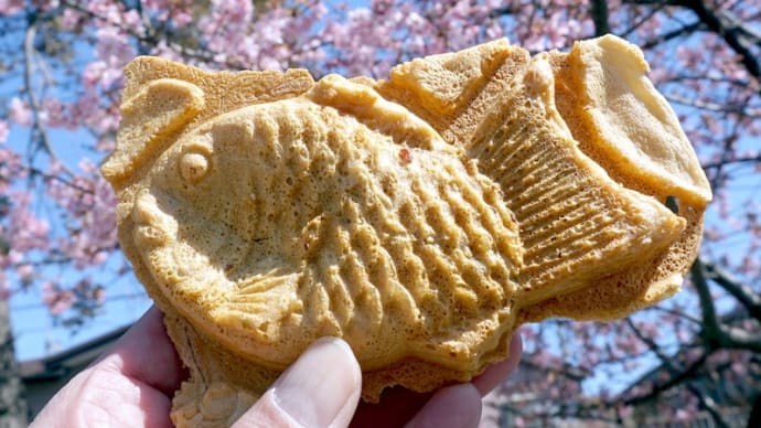 およげたいやきくん の謎 !?