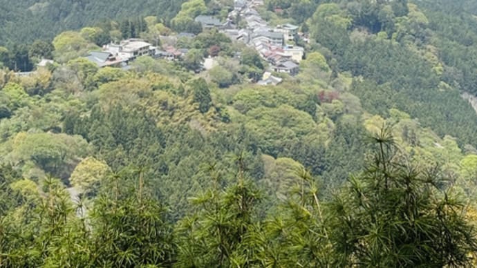 2025年 春 旅の記録 吉野山 4/19