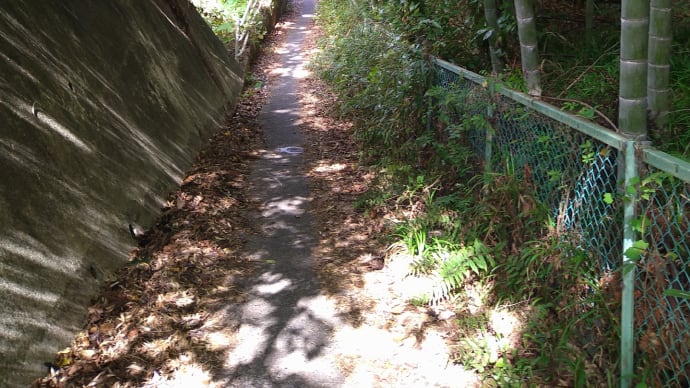 「鳴鹿坂続編」、「上野城下町農人町遺跡」へ、その3