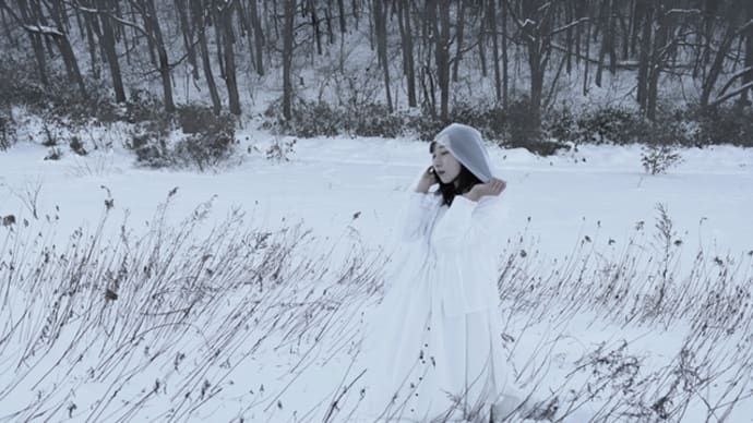 雪撮!!