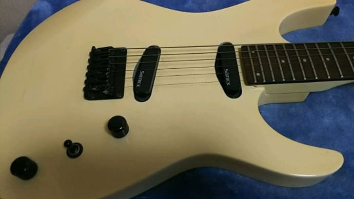 SAMICK SJ7-2S/W 届いたよー