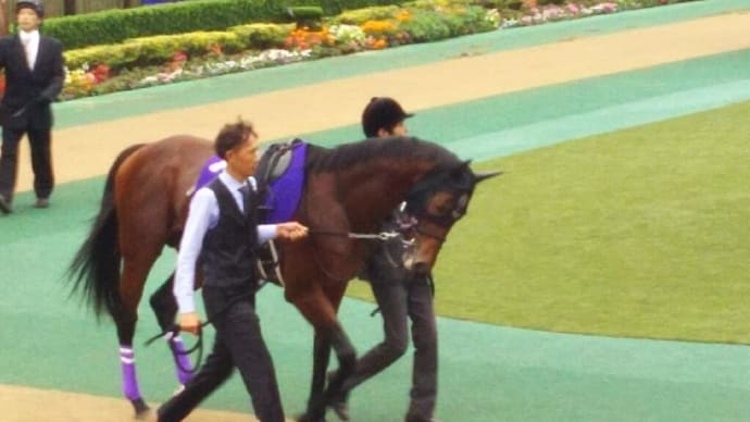 🐴きょうのおうまさん(22/1/8) ニューイヤーS・すばるS・🐴ワグネリアン訃報😭