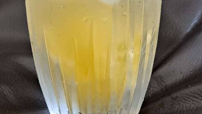 暑い夏を乗り越えるもの