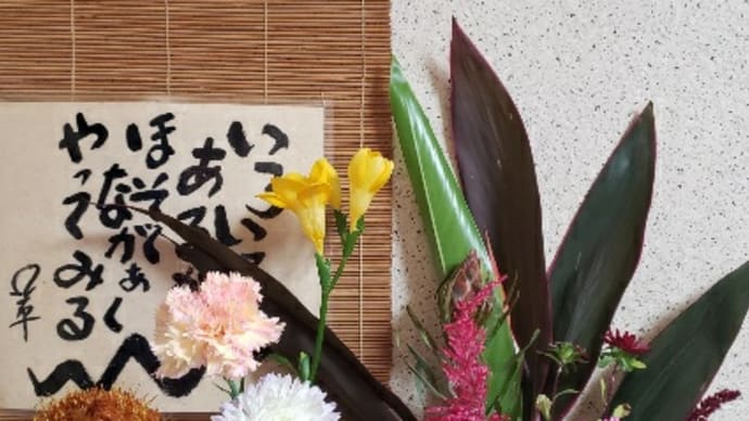 今週(11/16~)の🌼イイハナ🌼