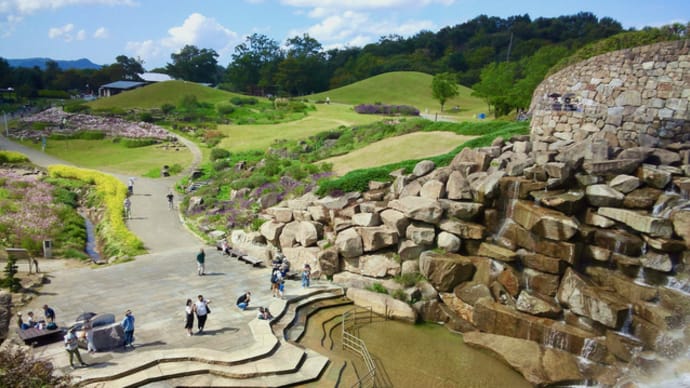 讃岐まんのう公園の滝とコスモス2021/10/9