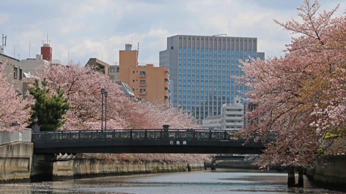 東京 大横川さくらクルーズ 9