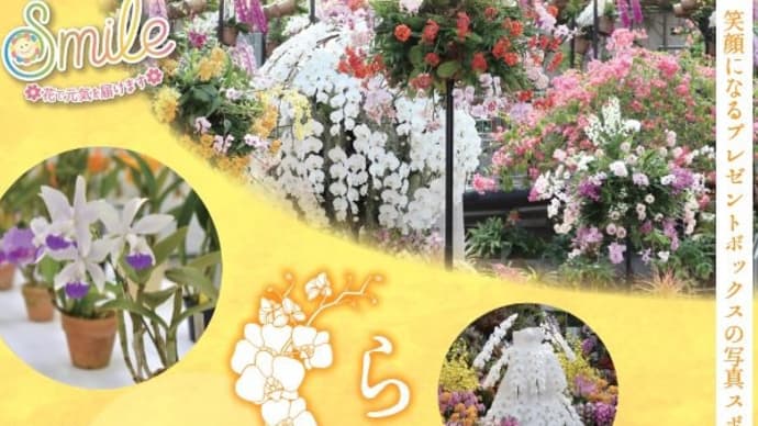 とっとり(鳥取)花回廊らんまつり ミニコンサート