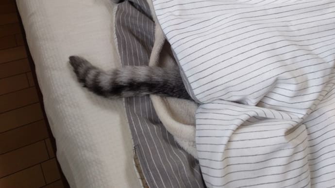それはしましま