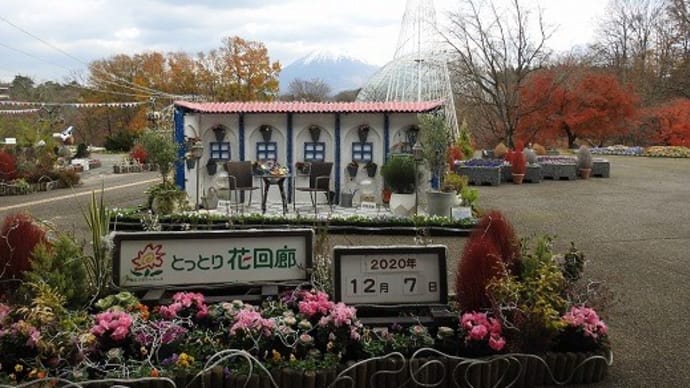 とっとり花回廊