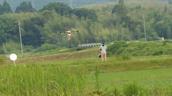 ドローンで農業、そして今年の小鮎?