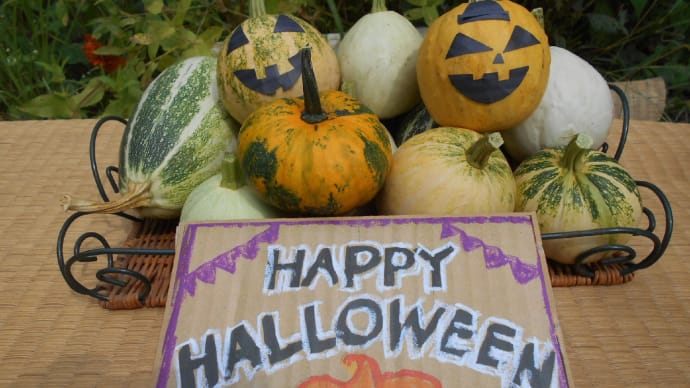 10月31日(木)はHappy Halloween(ハロウィン)!「1個100円~」販売中!!【おもちゃカボチャ】地元のスーパー「カスミ阿見町店」orじねん道に直接メールでも買えます