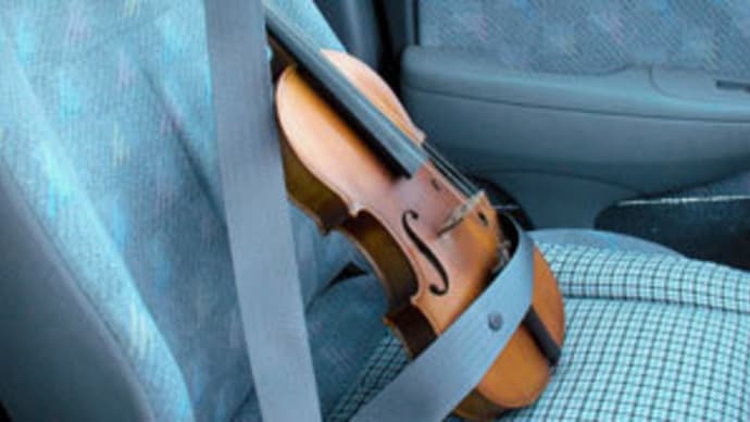 Travel with my violin