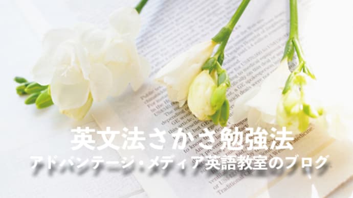\ブログ更新 連続1000回/