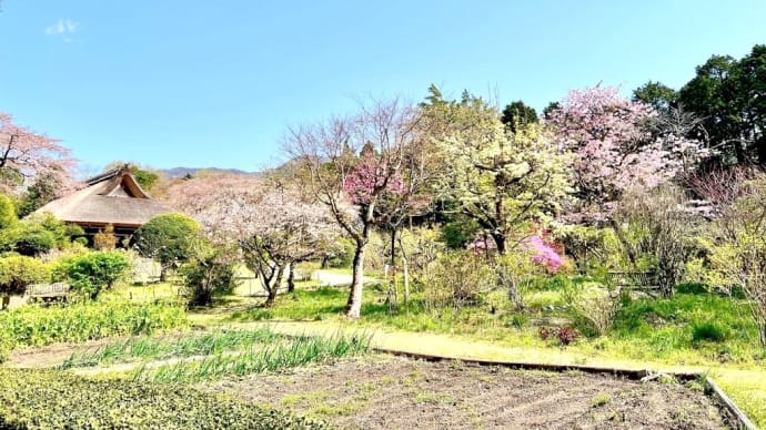 極上の邸園散歩　秩父宮記念公園　