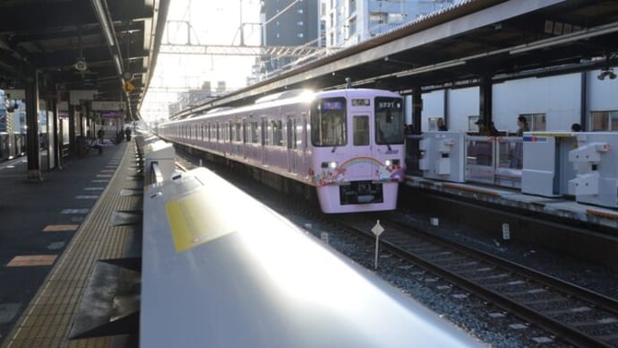 京王電鉄×サンリオピューロランド 特別ラッピング車　【笹塚駅：京王線】　2024.3.1