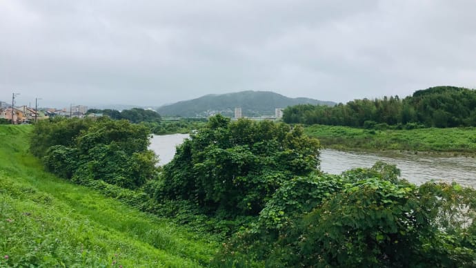 三重県-桑名市 ☔