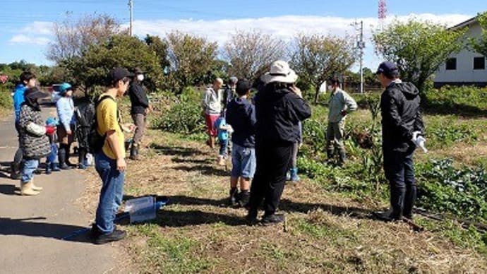 里山体験プログラム「秋野菜の収穫体験」