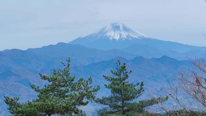 登山ガイドと行く富士見ハイク 生藤山 2