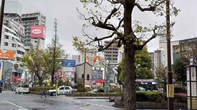 80.《 五七の雨に 六つ八つ風 》 言い伝えと日本書紀の記述