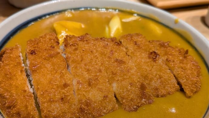 『若鯱家にてカツカレーうどん···』