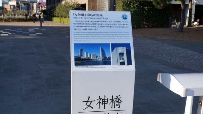 女神様
