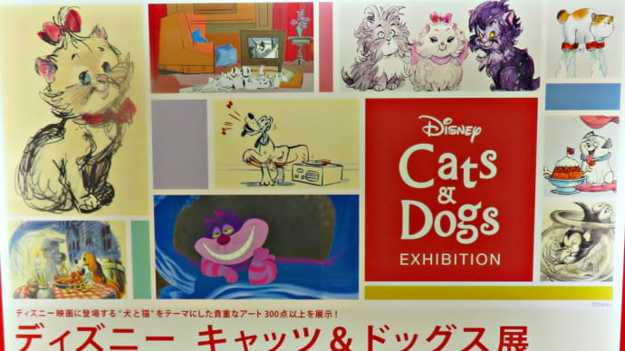 ディズニー キャッツ&ドッグス展~札幌三越~