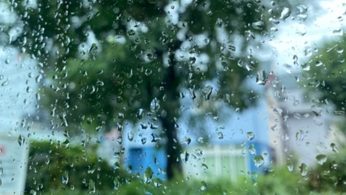 台風の日の介護当番