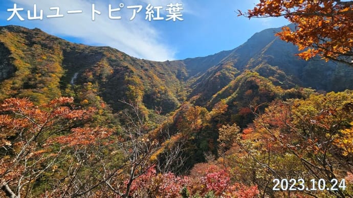 大山ユートピアの紅葉 10月24日