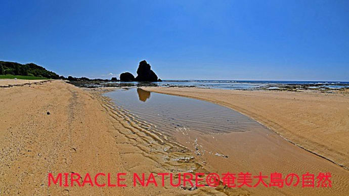 笠利町土浜の立神