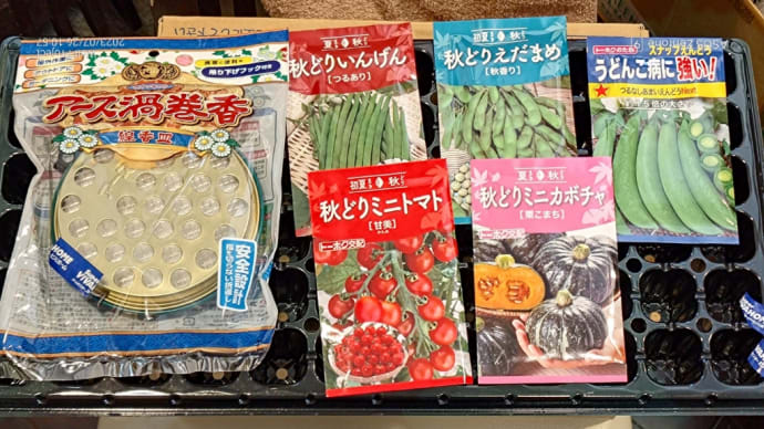 🚿今日の屋上菜園👀お買い物~スタートしました!🌱