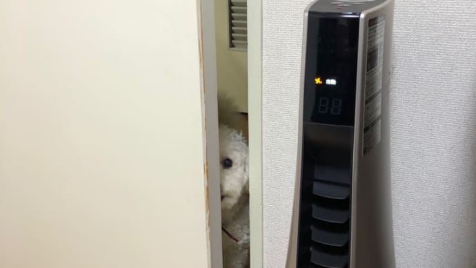 暇ですか🐶