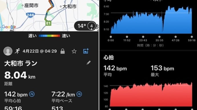 朝ラン8km & 草むしり