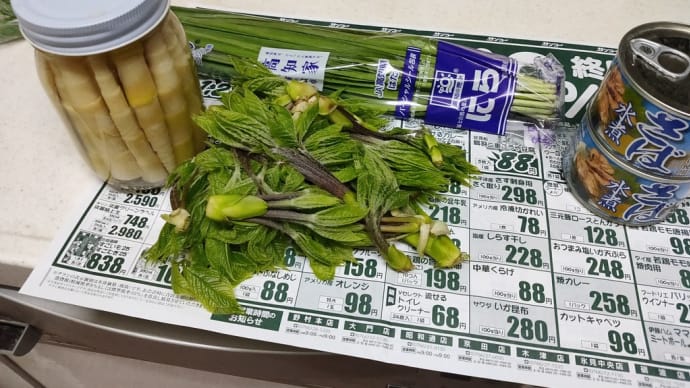 この先どうなるやら❓