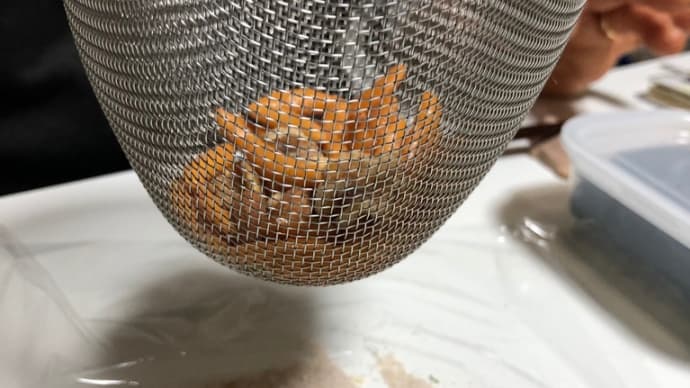 何に使うの?