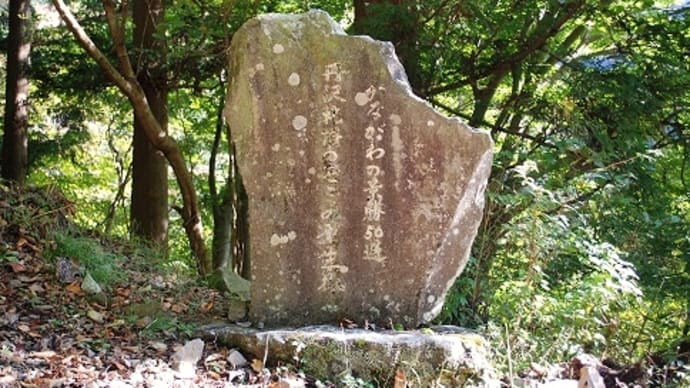 つぶやき#1738 丹沢札掛のモミの原生林